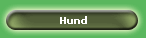 Hund