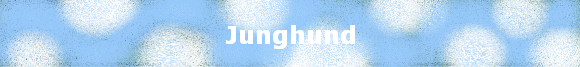 Junghund