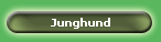 Junghund